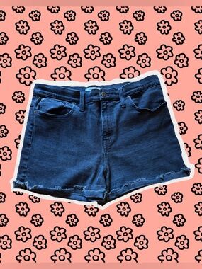 Madewell Black Denim Women's High-Rise Shorts